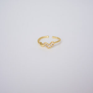 Anillo Doble Corazón