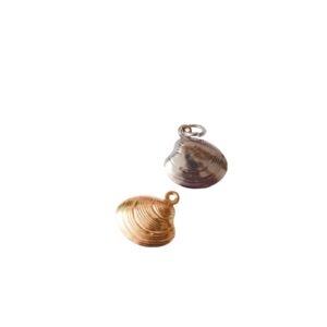 Charm Concha de Mar