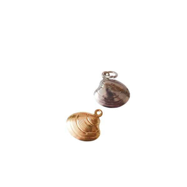 Charm Concha de Mar