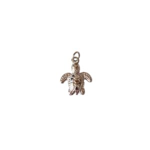 Charm Tortuga Plateada Acero Inox