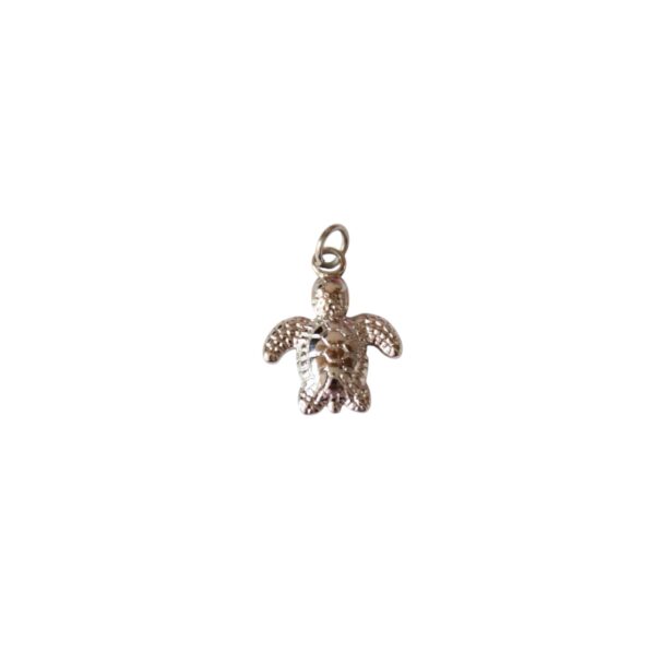 Charm Tortuga Plateada Acero Inox