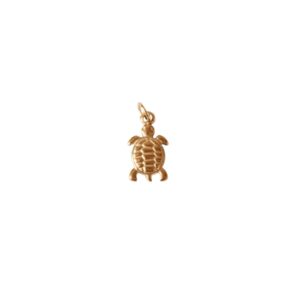 Charm Tortuga