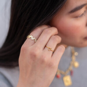 Anillos